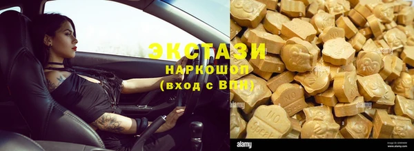 СК Туринск
