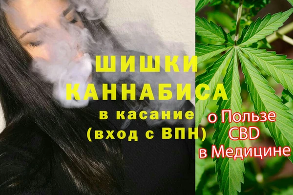 СК Туринск