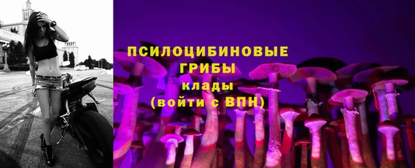 метадон Тутаев