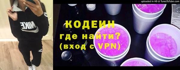 СК Туринск