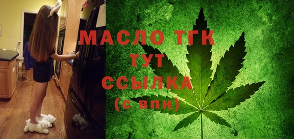 СК Туринск