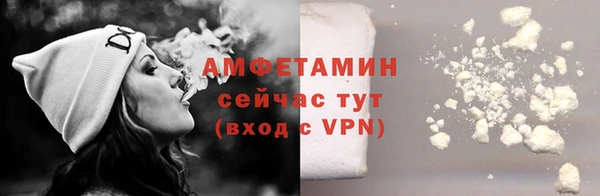 СК Туринск