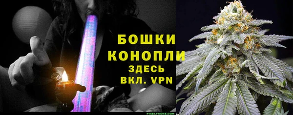 СК Туринск