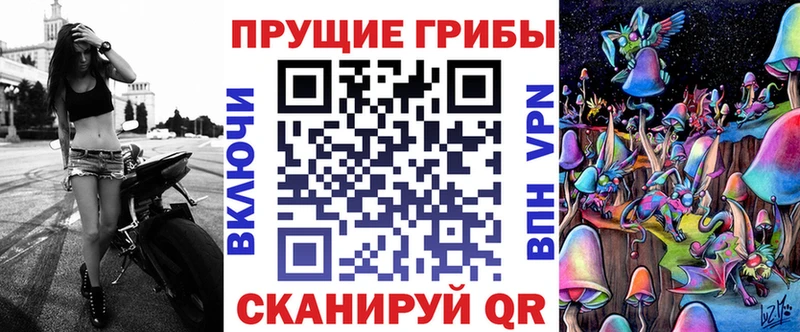 мориарти наркотические препараты  Берёзовка  Псилоцибиновые грибы Cubensis  сколько стоит 